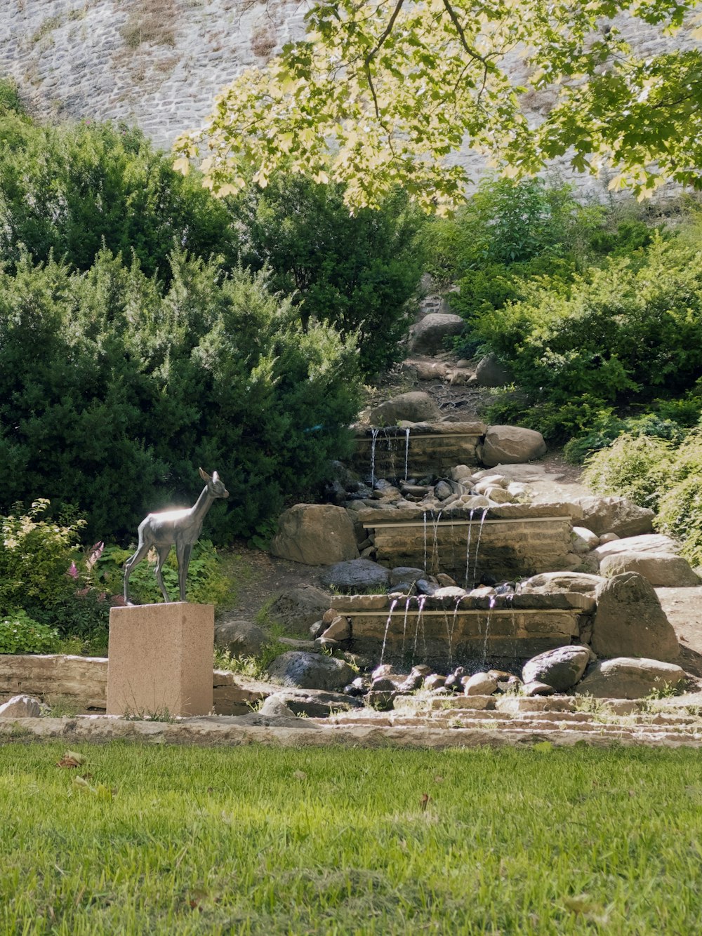 white bird on brown rock during daytime