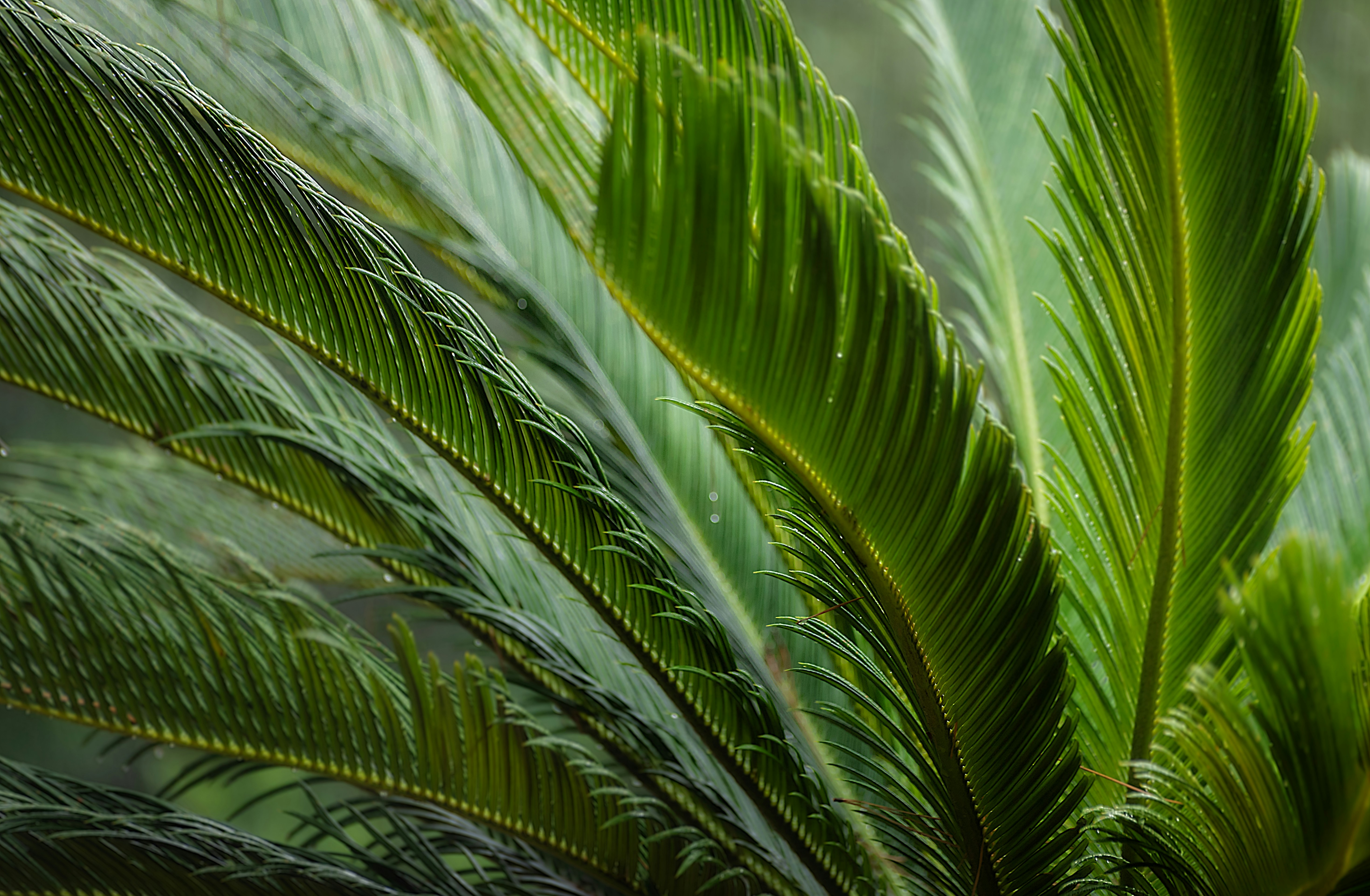 Photo by arizonanthony