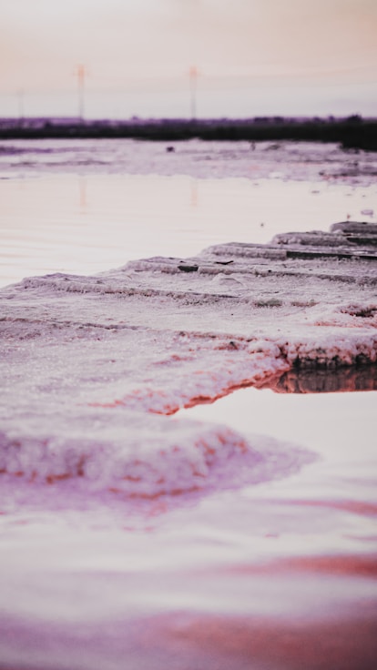 white and black stone on water