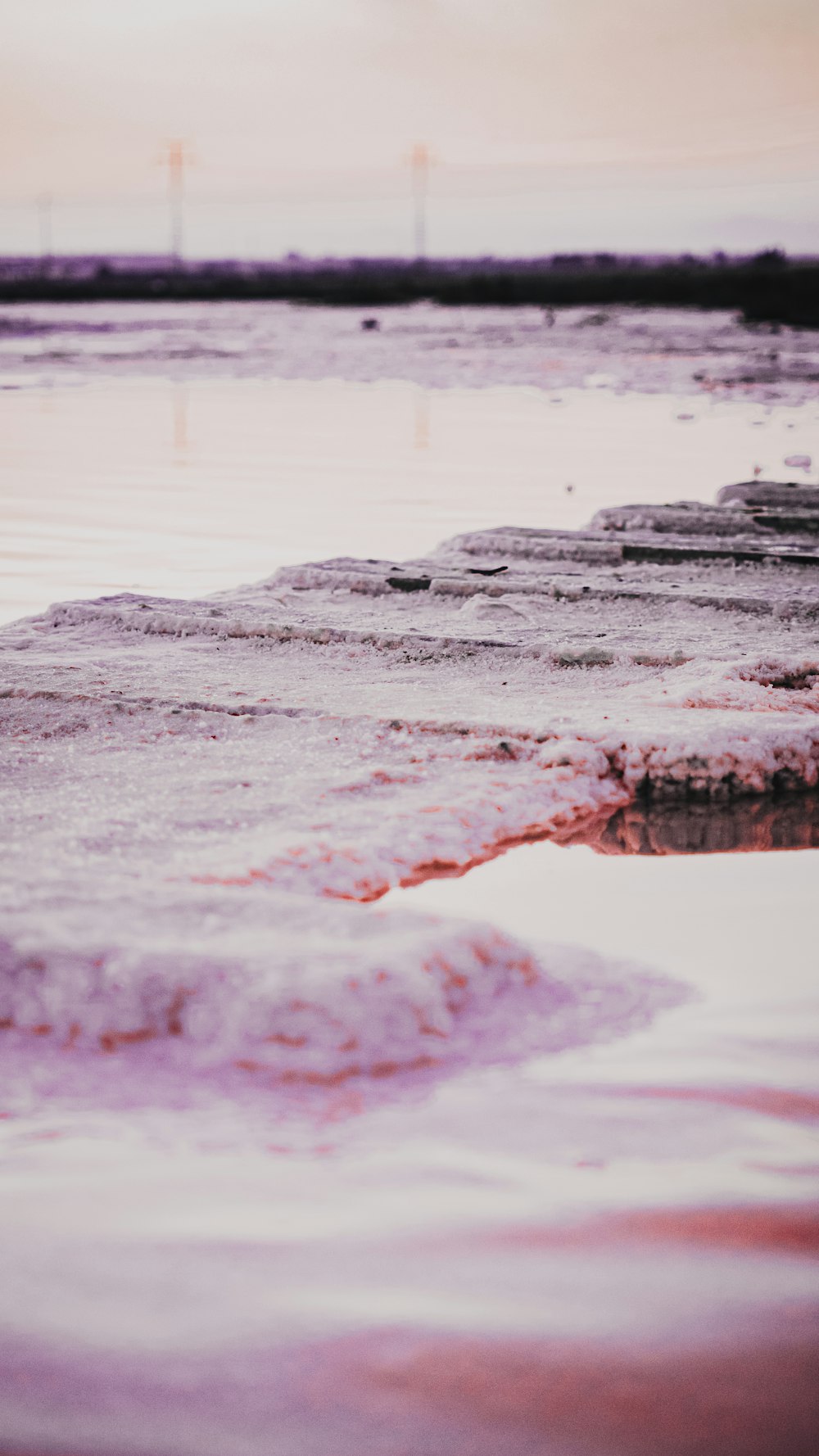 white and black stone on water