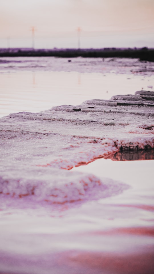 white and black stone on water in Torrevieja Spain