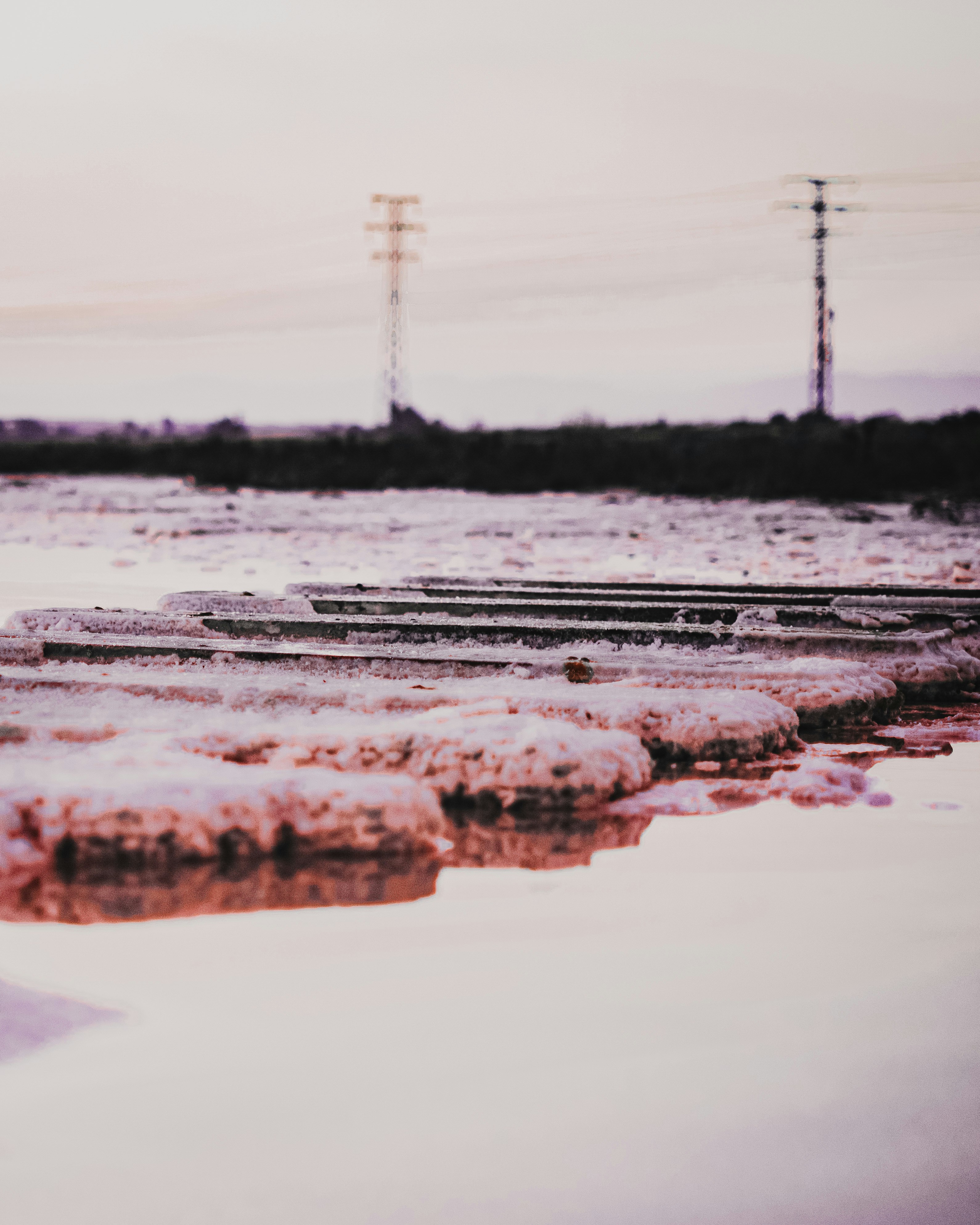 brown and white wooden dock during daytime