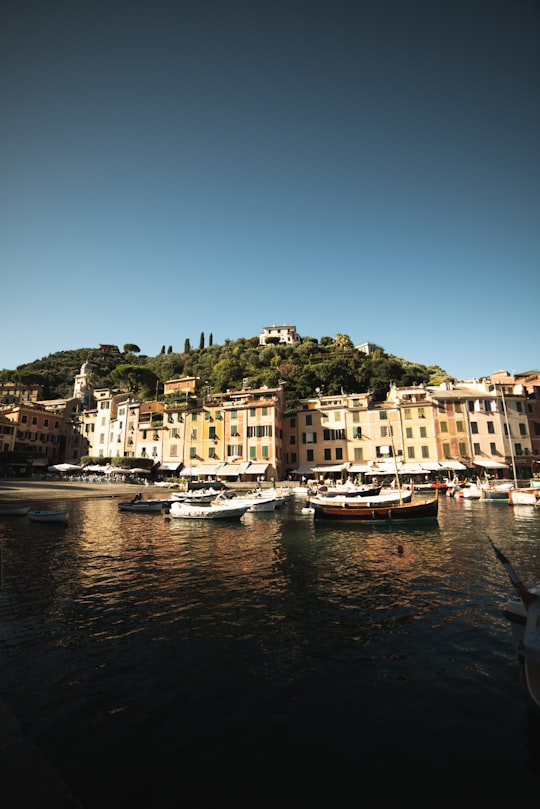 white and brown boat on river near buildings during daytime in Portofino Harbour Italy