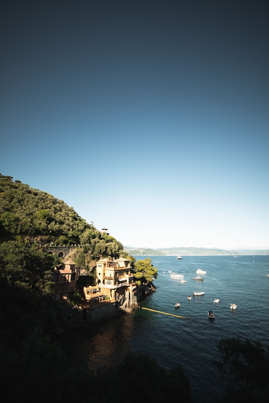 green trees on mountain near body of water during daytime in Paraggi Italy