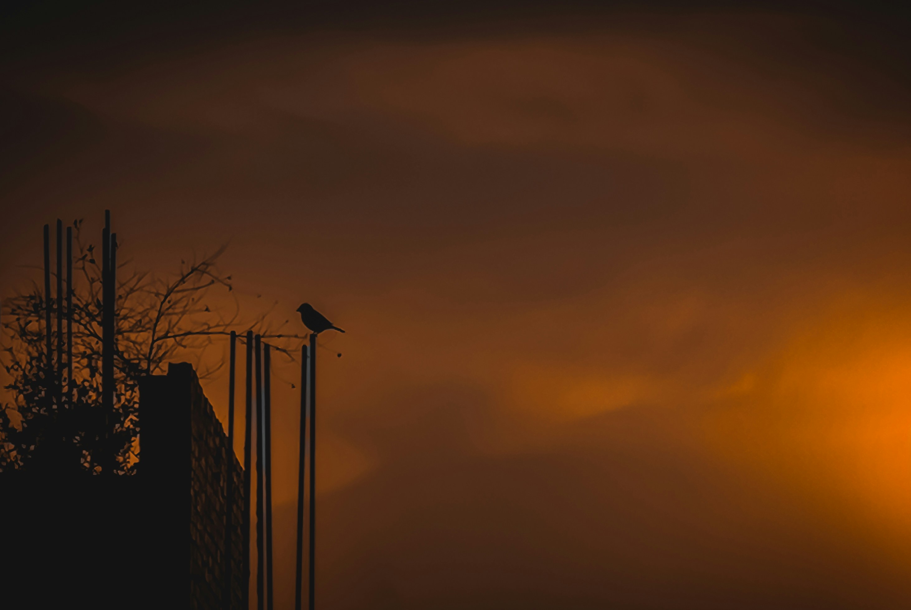 Photo by dinaabdelmonsef