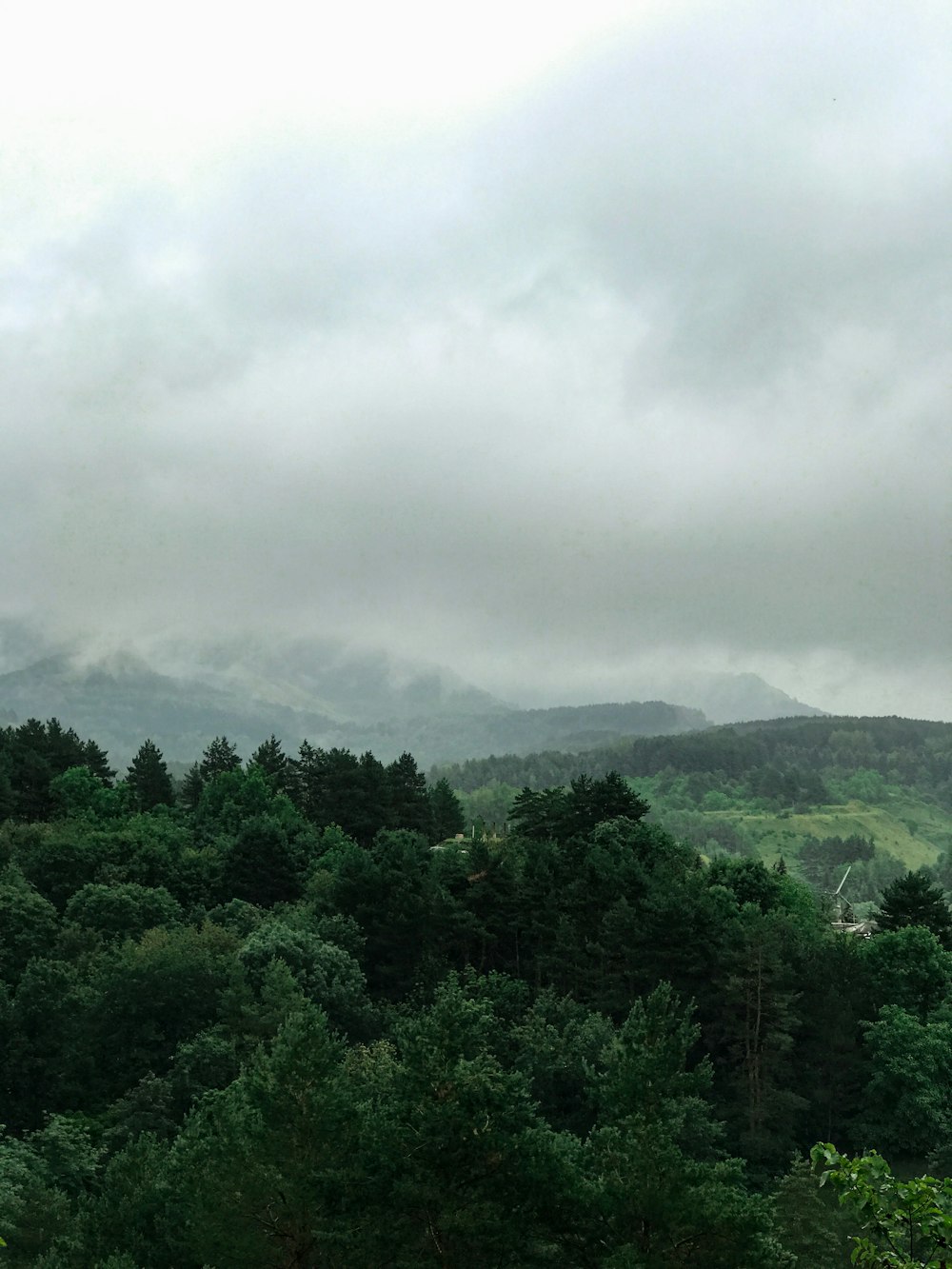 昼間の白い雲の下の緑の木々