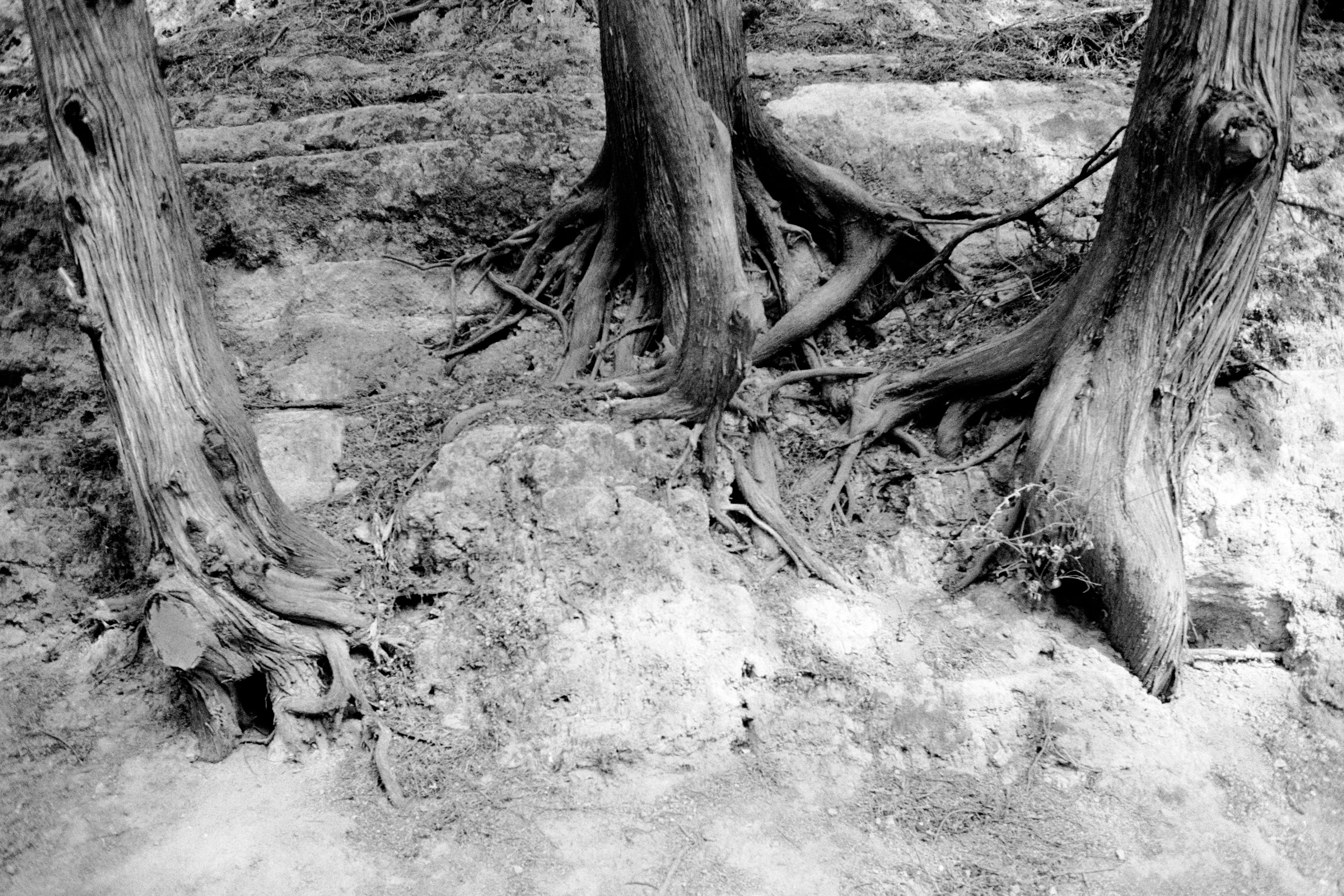 Photo by henniestander