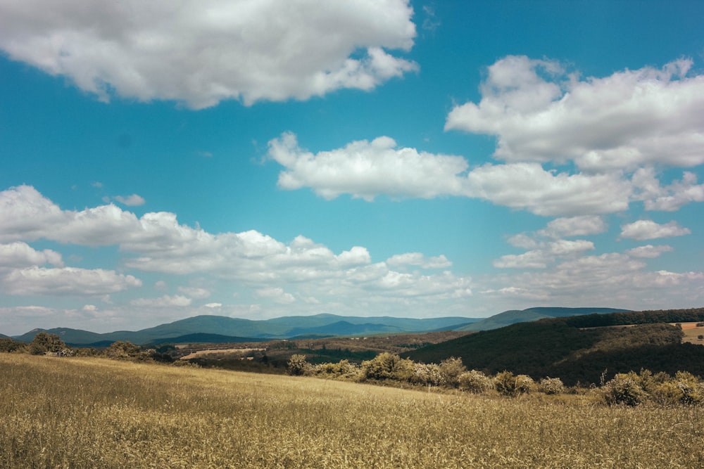 brown grass field under blue sky during daytime