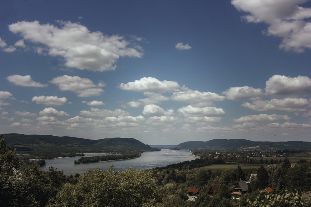 green trees near body of water under blue sky during daytime