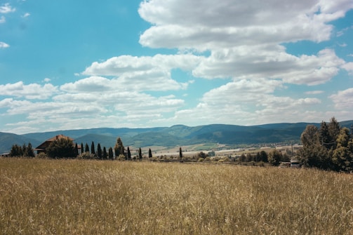 A serene rural landscape with a cozy accommodation in view.