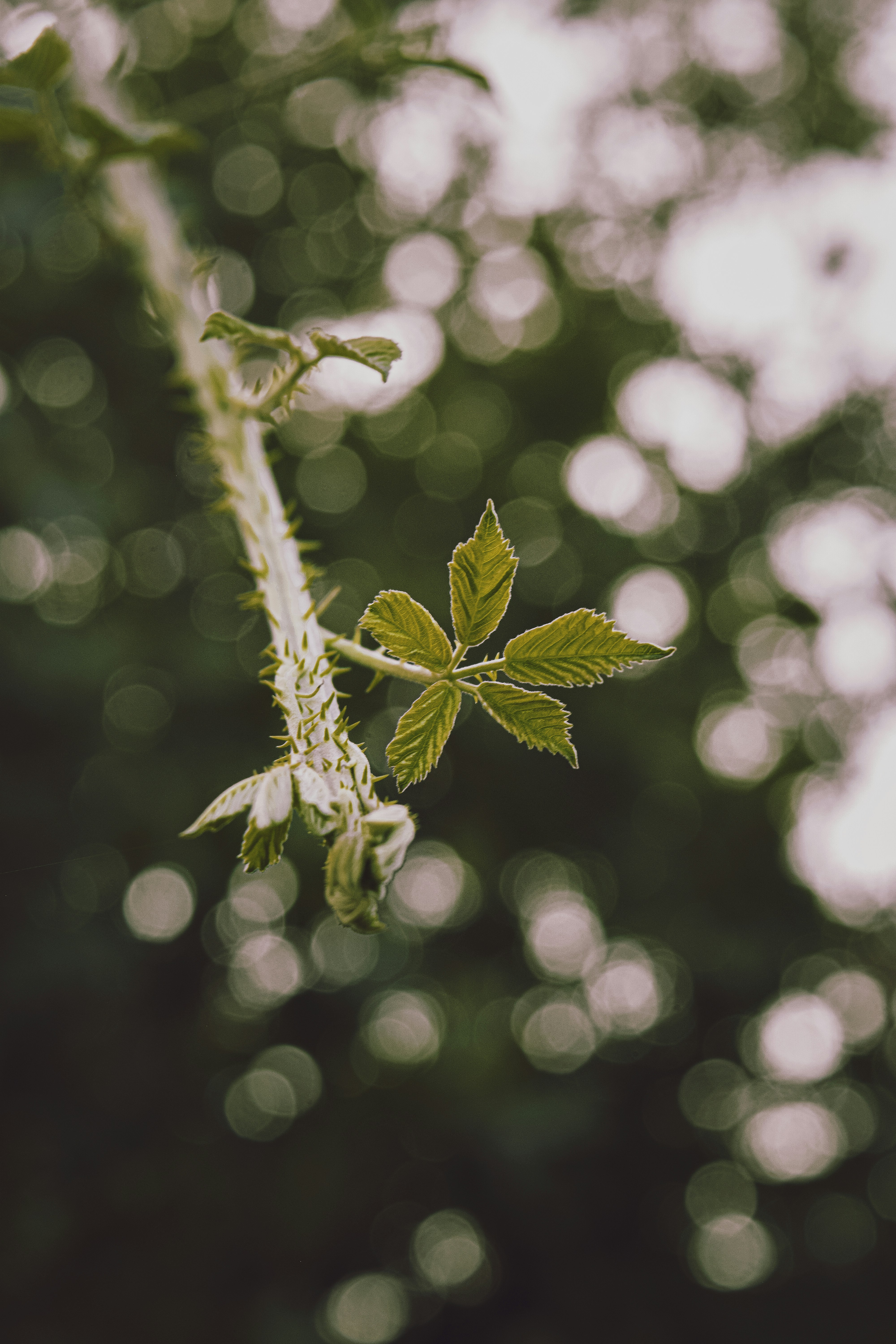 Photo by diianamfernandes