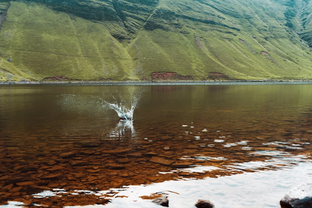 green and brown mountains beside lake during daytime