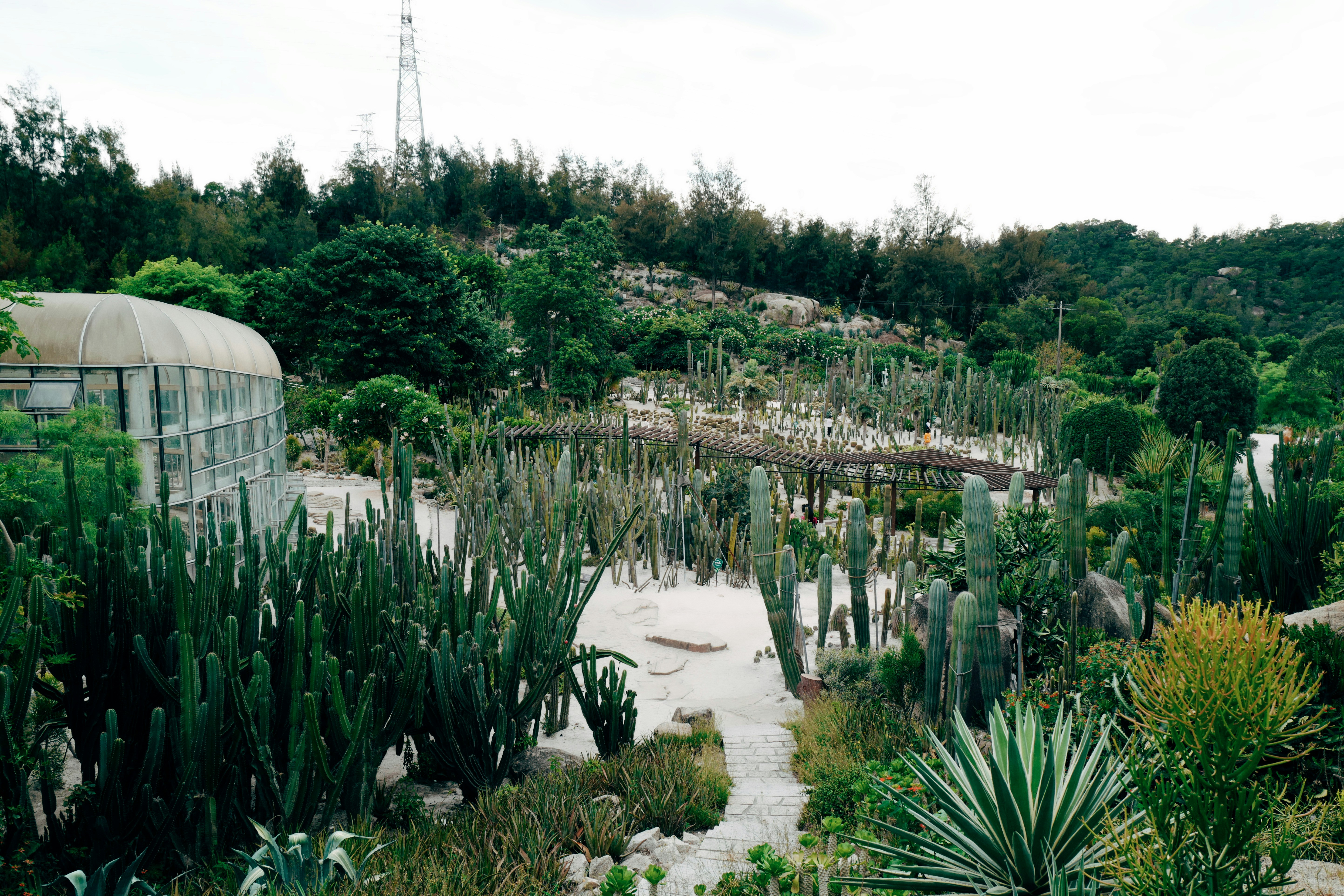 Oaxaca’s Hierve el Agua, Mexico - None