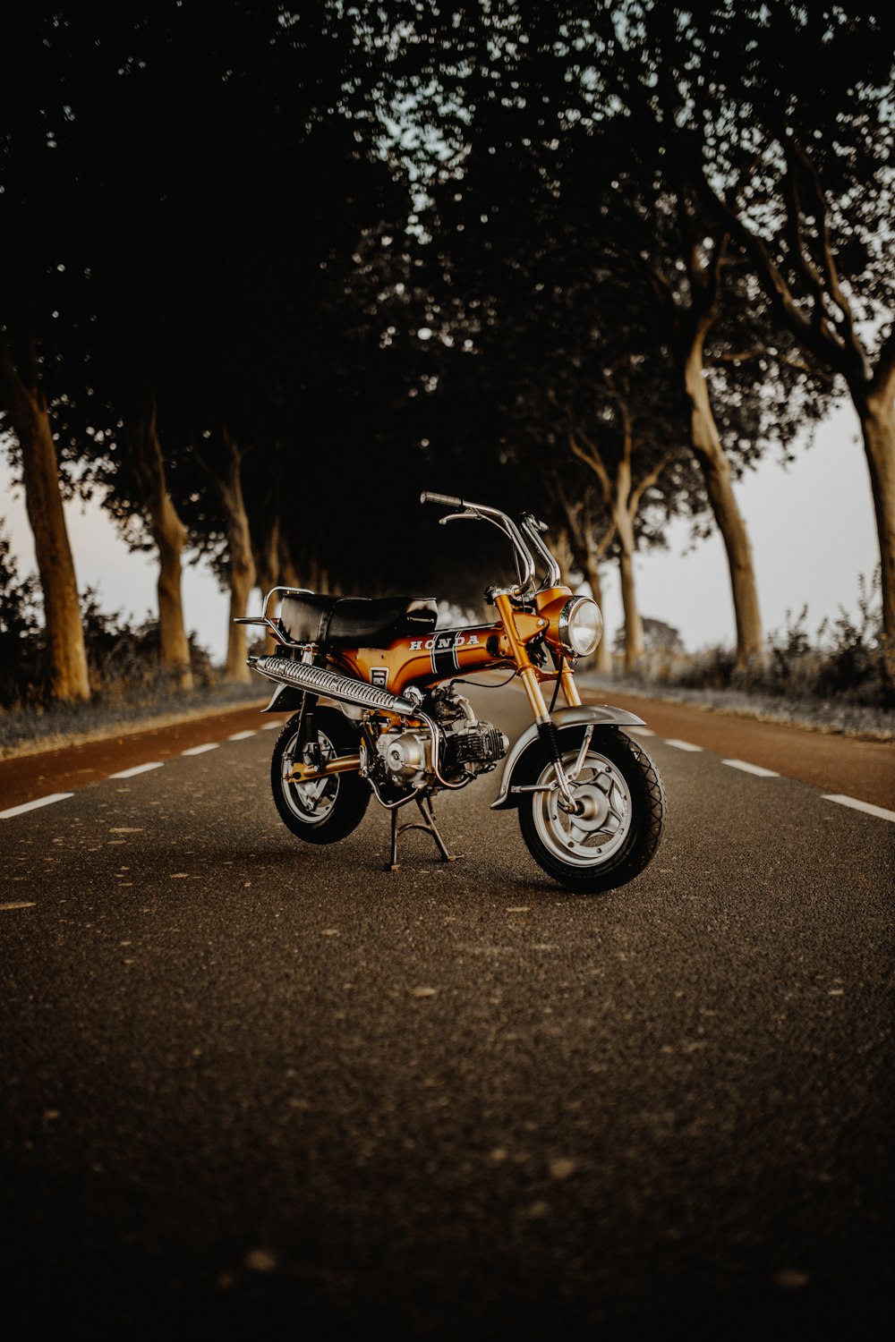 black and brown motorcycle on road during daytime