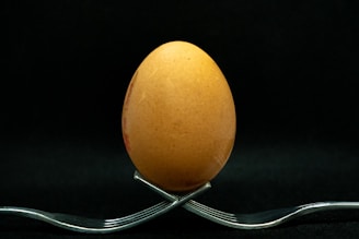 brown egg on stainless steel stand
