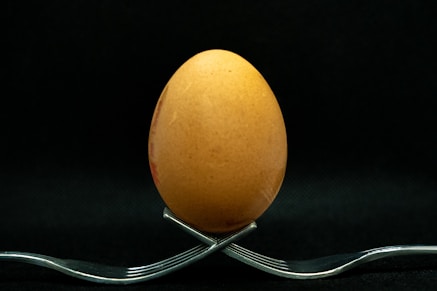 brown egg on stainless steel stand