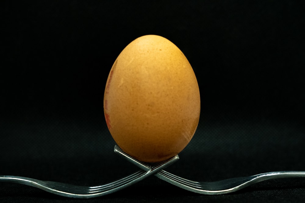 Uovo marrone su supporto in acciaio inossidabile