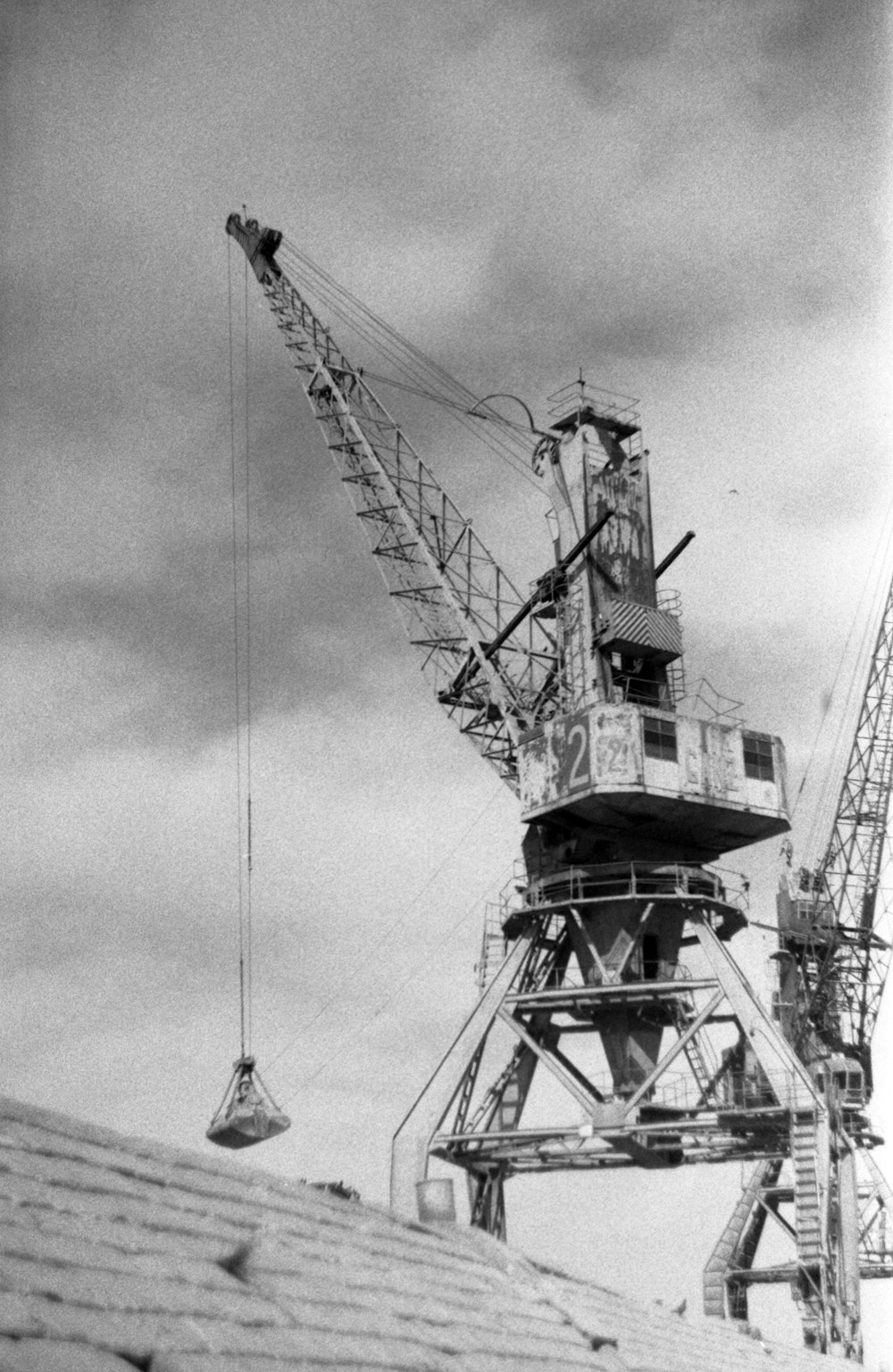 black and white crane under cloudy sky