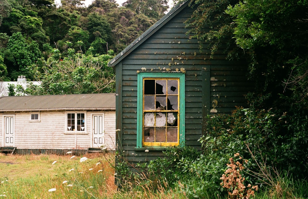 green wooden house surrounded by green plants