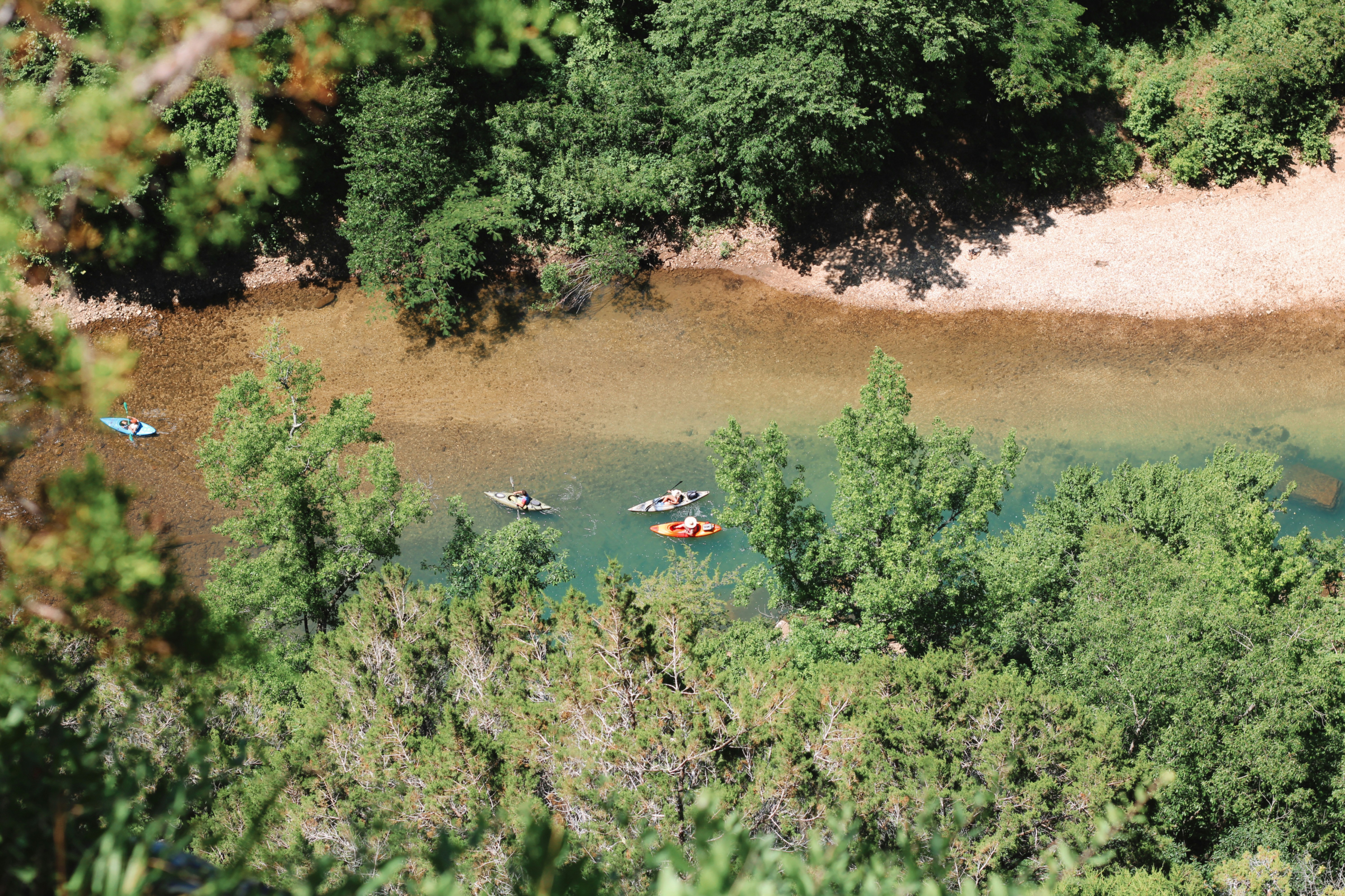 Photo by zharrington1