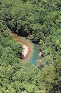 Aerial view of a river winding through a dense, lush green forest with a small sandy bank. The water appears clear with a turquoise and brown hue, indicating varying depths. A canoe or kayak is visible on the riverbank, suggesting recreational activity.