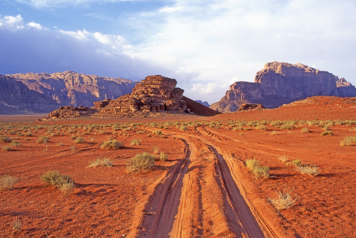Stone and sand desert in orange-red tones: two vehicle tyre tracks run from the foreground into the distance between low desert shrubs, leading to a flat-topped rock massif in pinkish brown. Behind it more ridges in the same tone, and above them a blue sky with a bank of white cloud