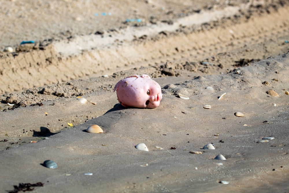 Rosa Schwein auf braunem Sand