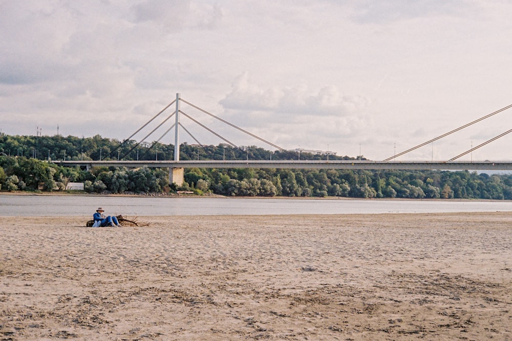 people on beach near bridge under white sky during daytime