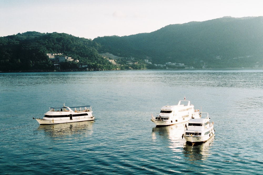 white and black boat on body of water during daytime