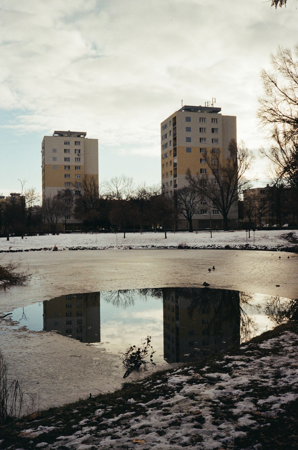 brown concrete building near body of water during daytime