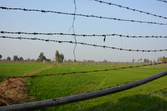 A wide shot of a farm fence stretching across green fields under a blue sky.