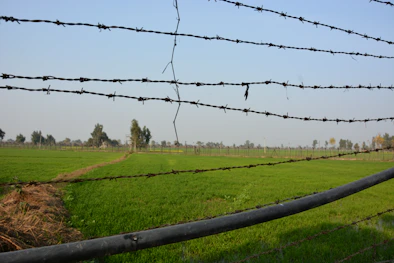 A completed field fence marking the edge of a large rural property under a clear blue sky.