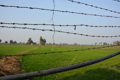 A completed field fence marking the edge of a large rural property under a clear blue sky.