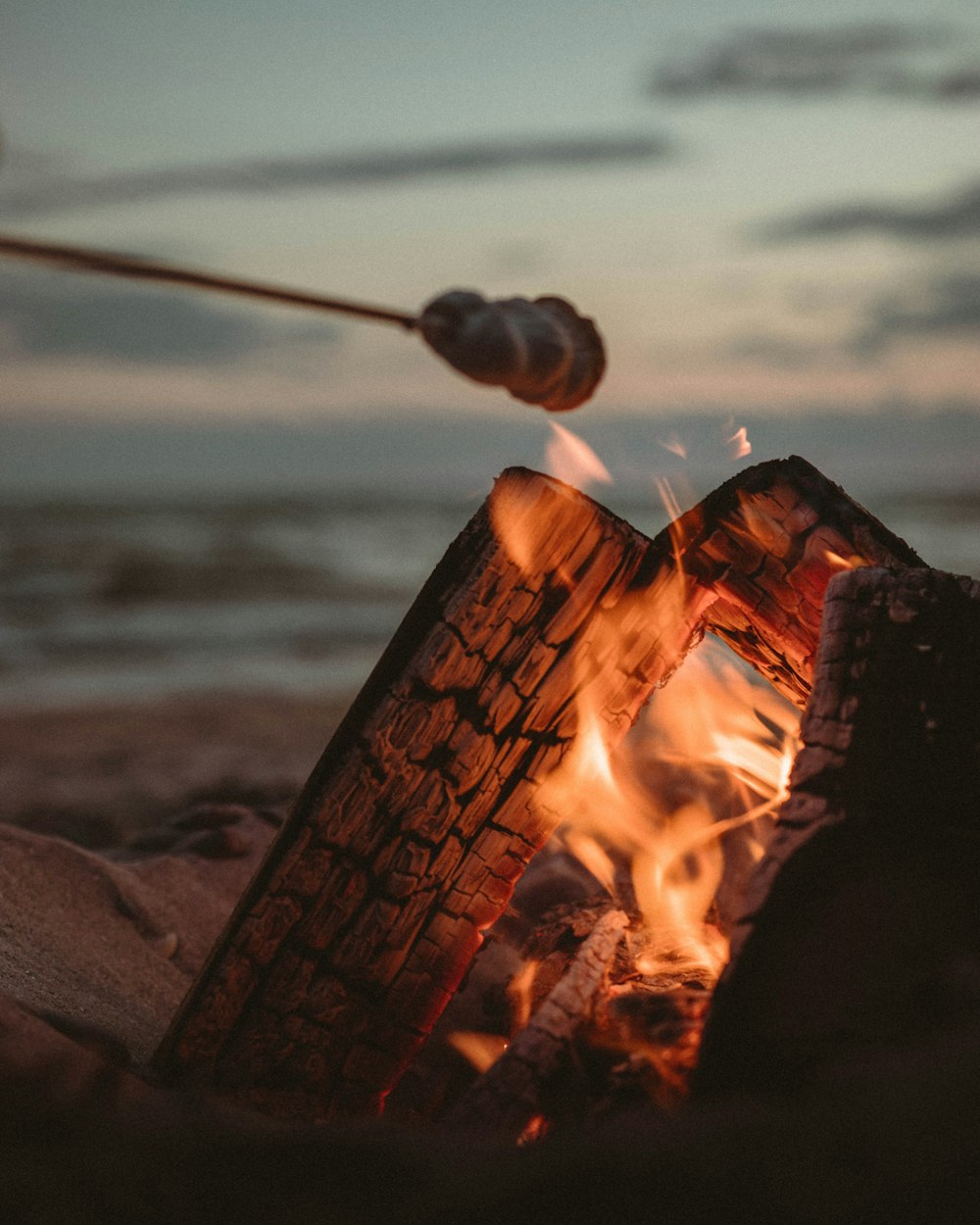 fire on bonfire near sea during daytime