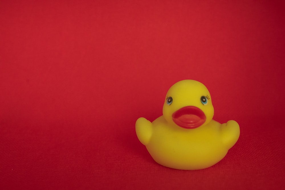 yellow rubber duck on red textile