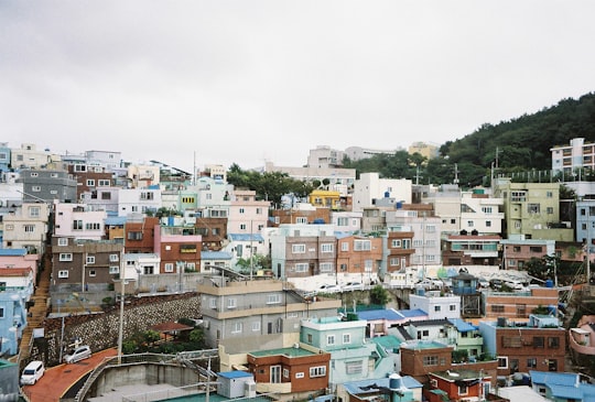 aerial view of city buildings during daytime in Gamcheon Culture Village South Korea
