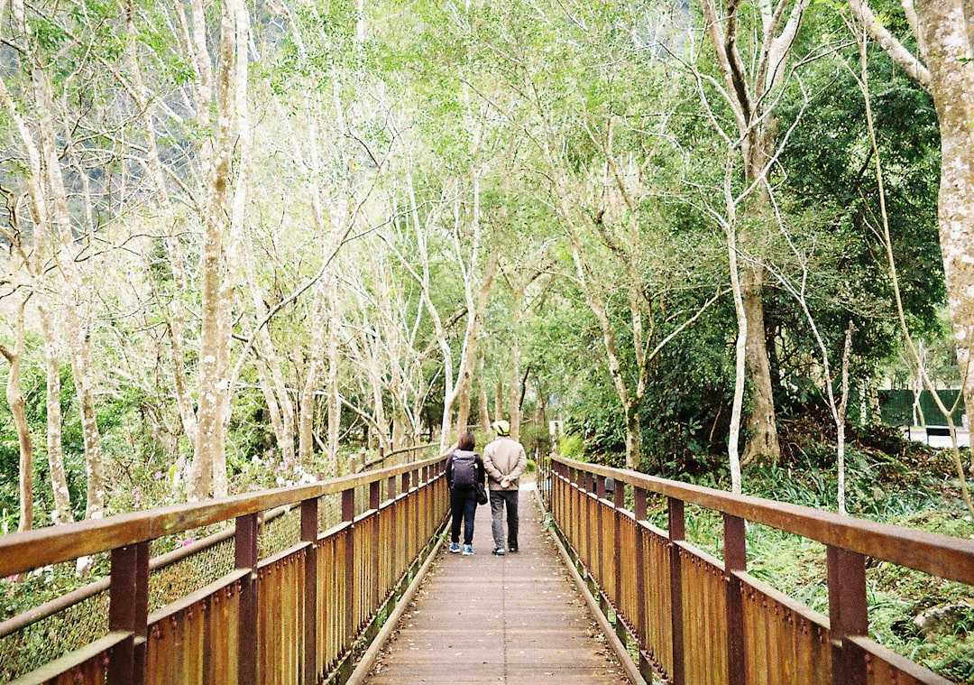 Bridge photo spot Hualien City Taroko National Park