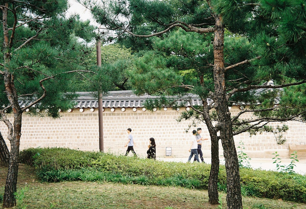 people walking on green grass field near trees during daytime