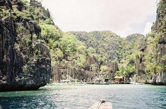 white boat on water near green trees during daytime in Coron Island Philippines