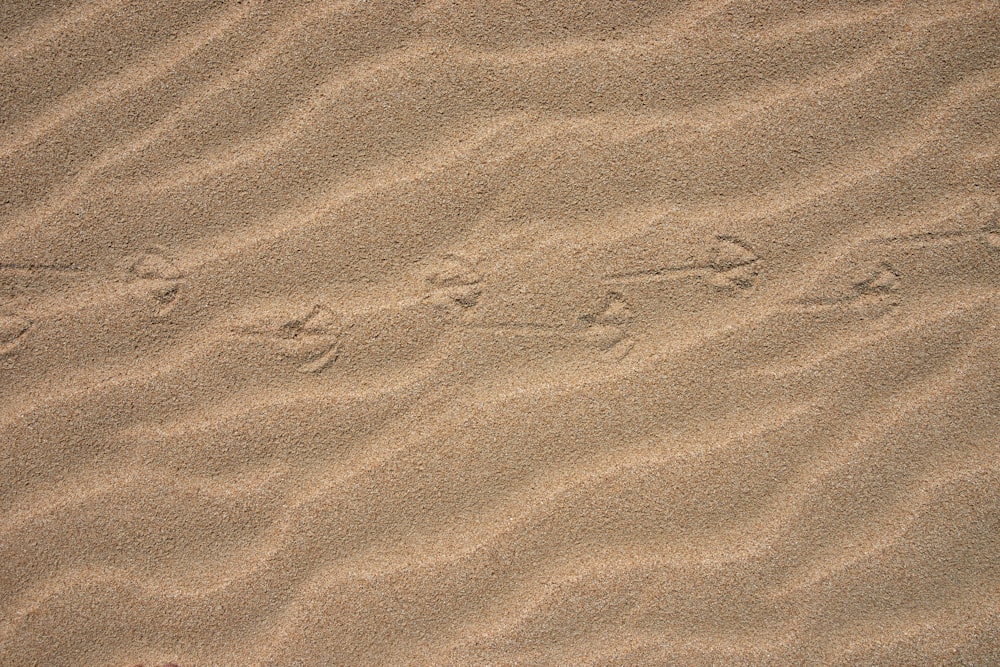 brown sand with shadow of person