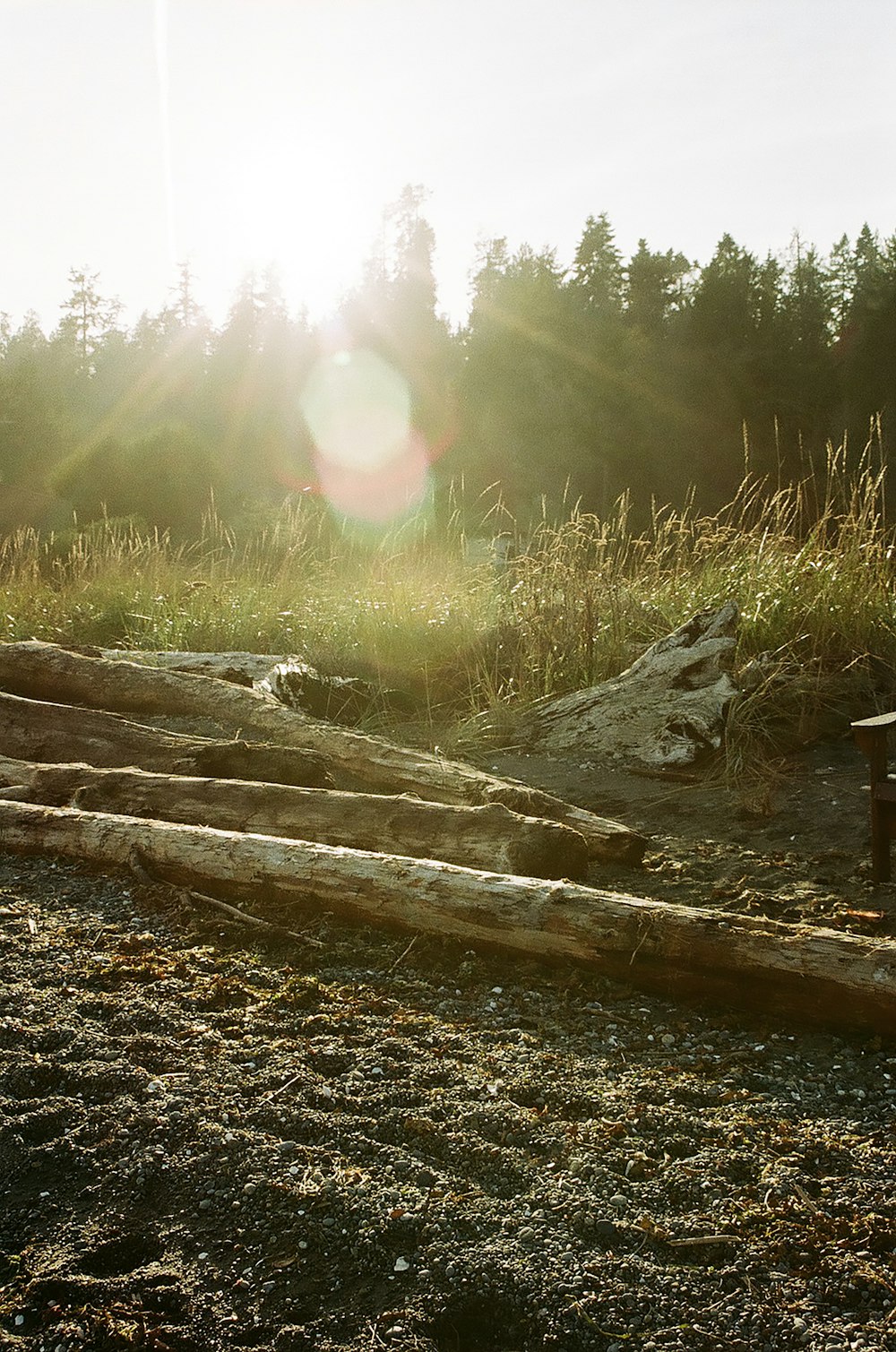 brown wooden log on river