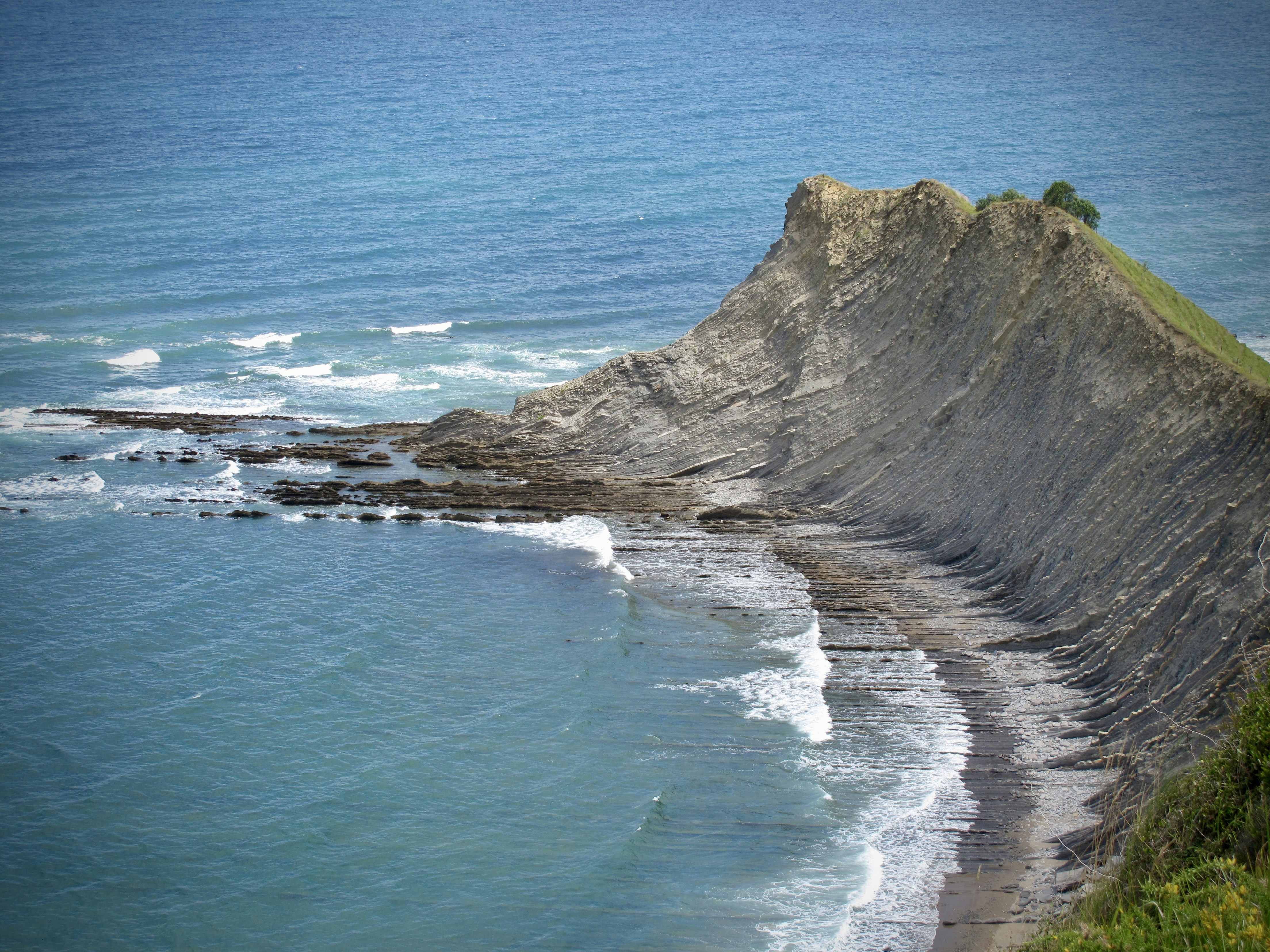 Photo by mondogenerator