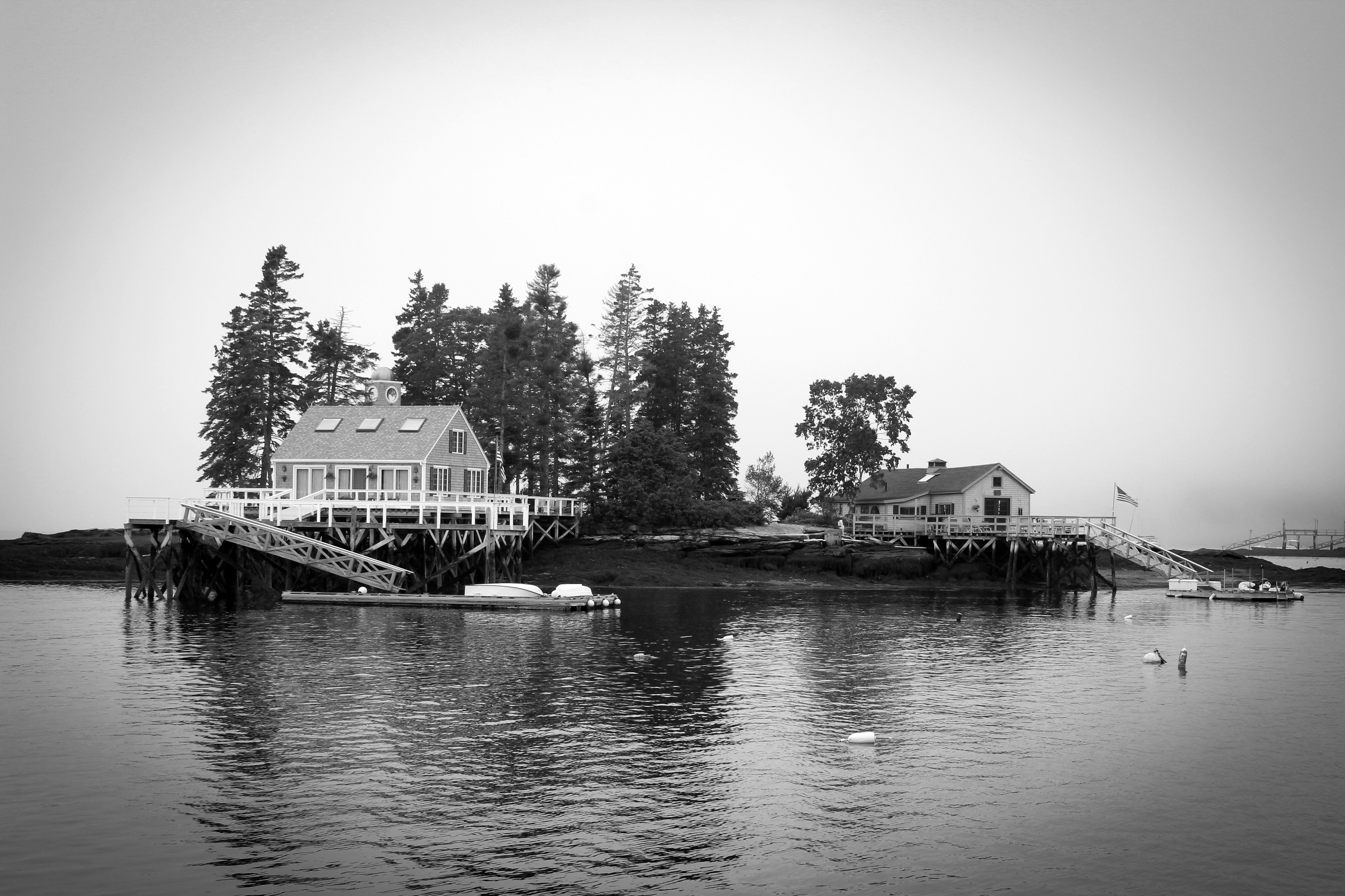 Photo by superfrenchlover