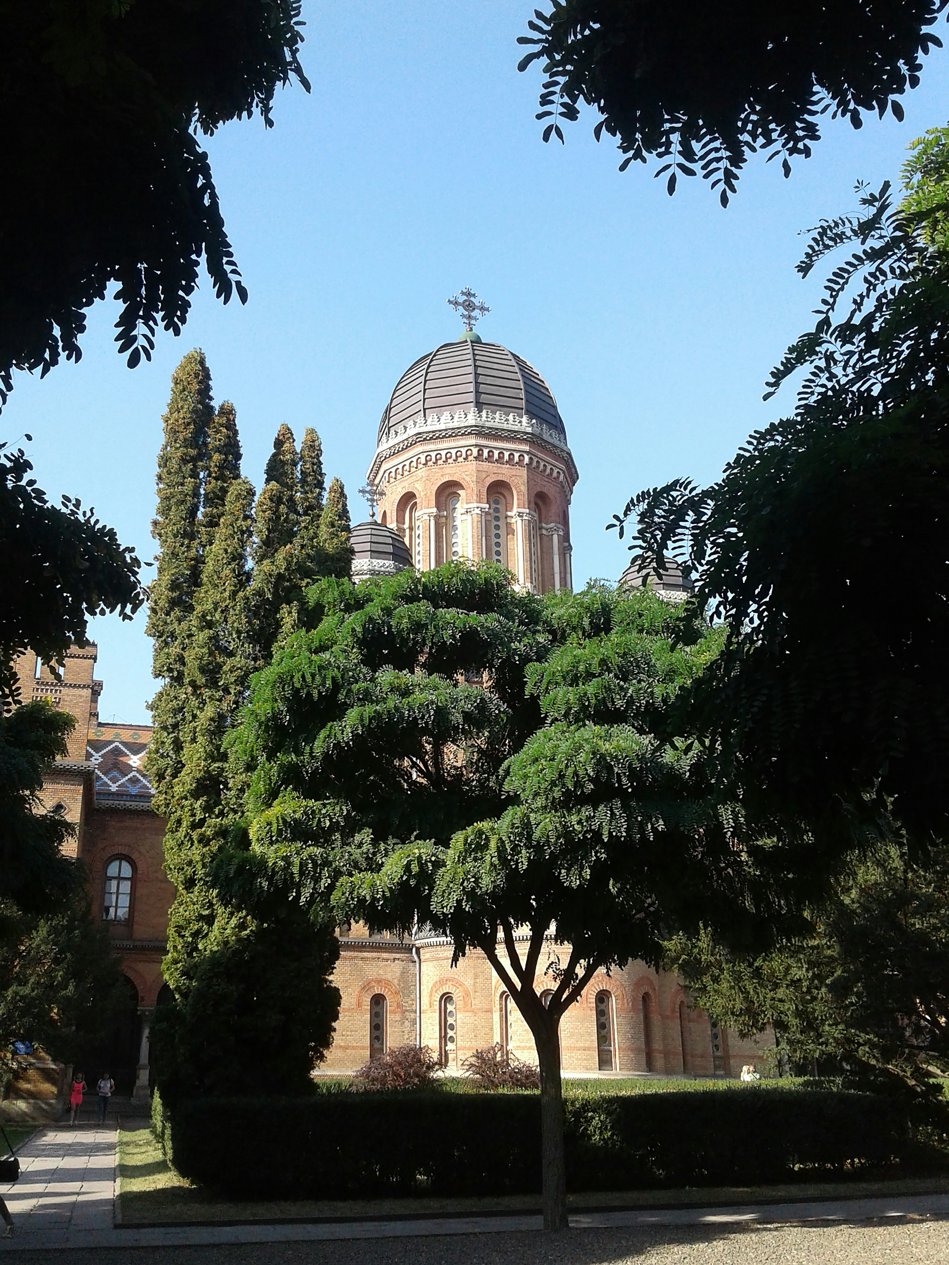green trees near brown concrete building during daytime