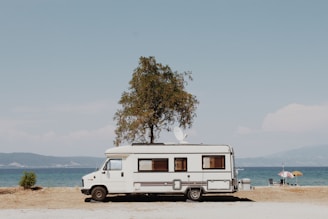 white and blue van on beach during daytime