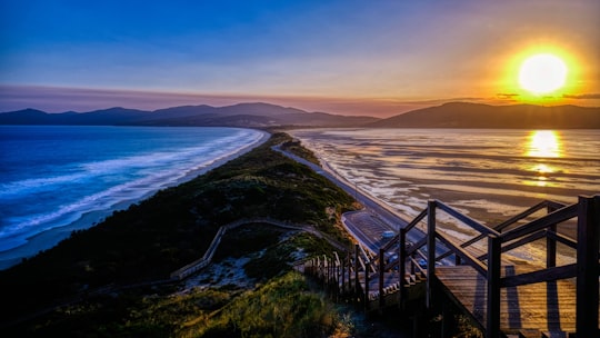 brown wooden bridge over the sea during daytime in Bruny Island Australia