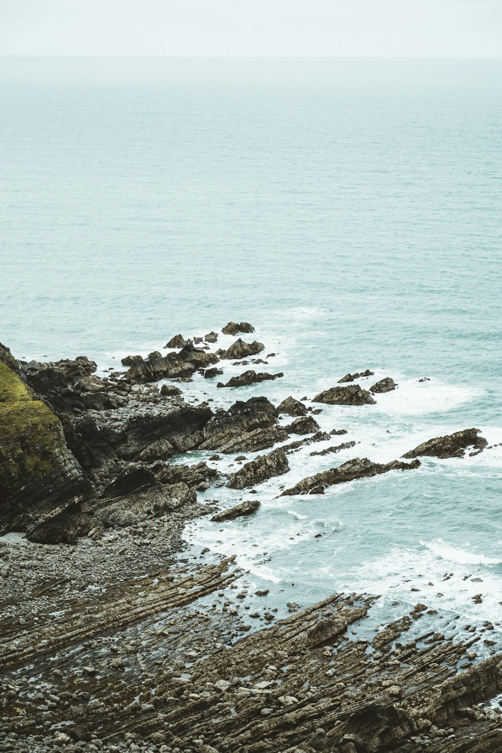 rocky shore with green moss and rocks