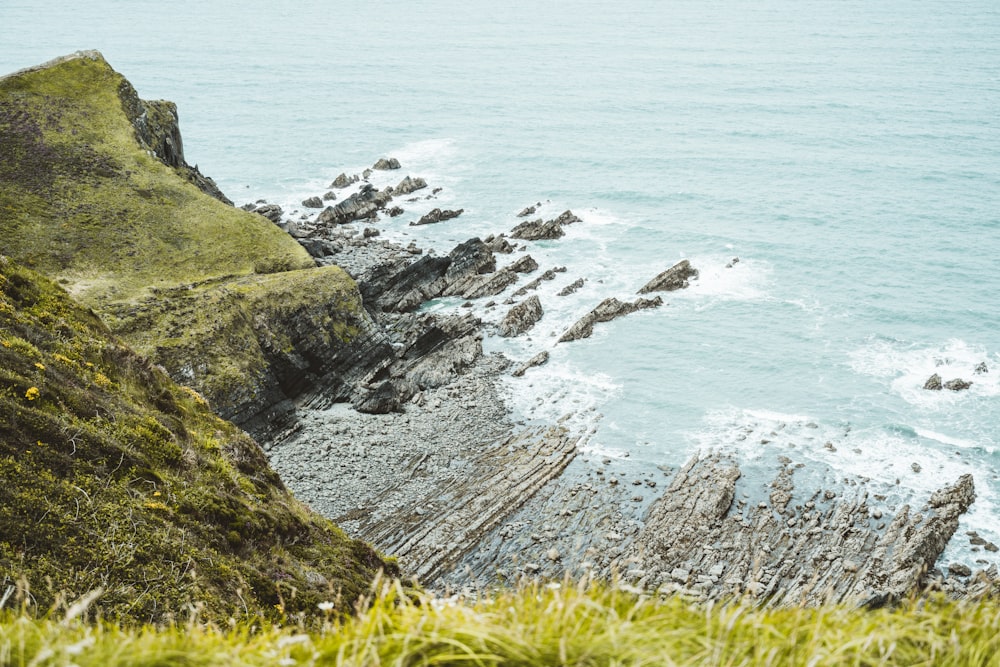 green grass on rocky shore during daytime