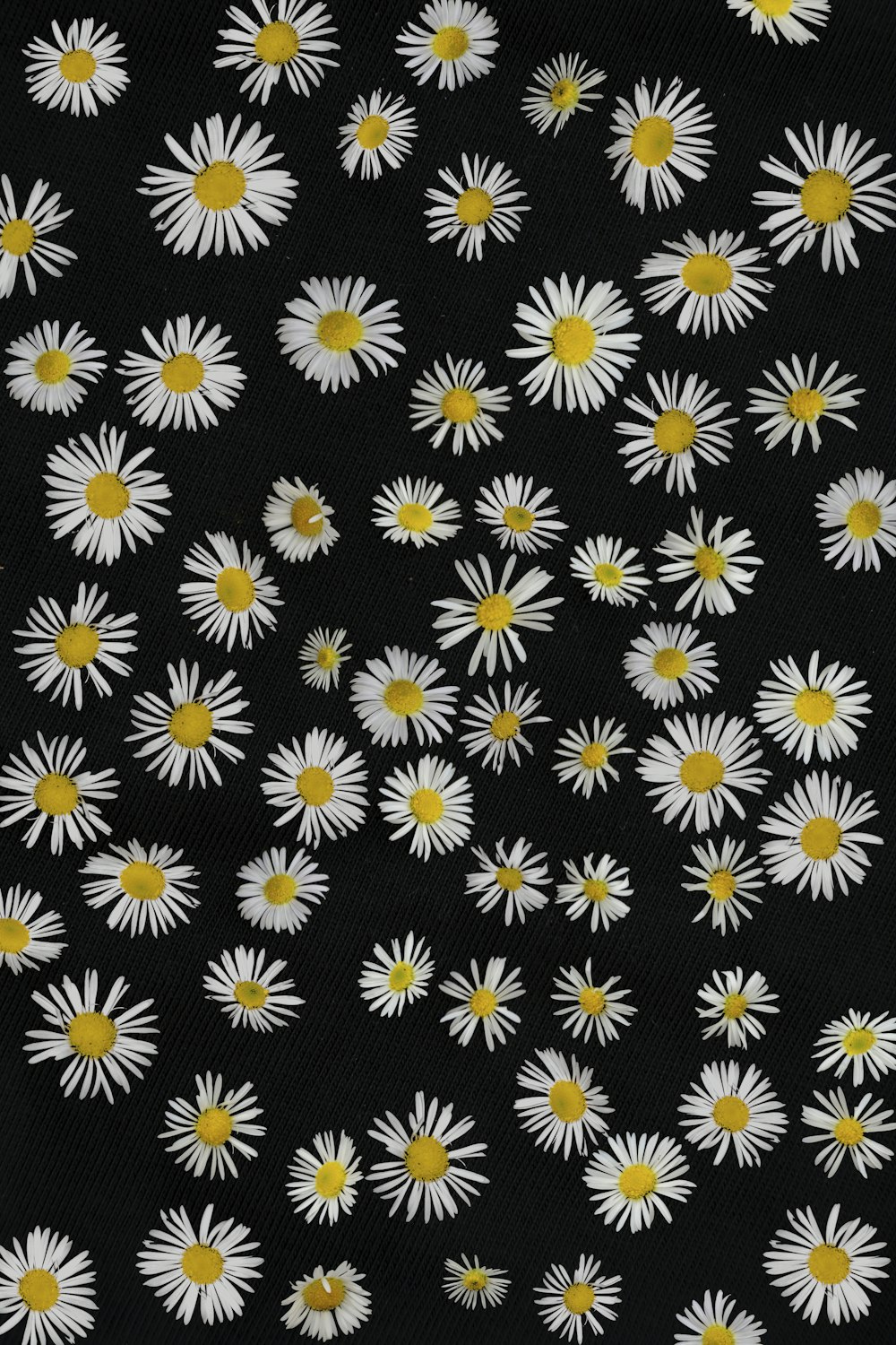 black and white floral textile