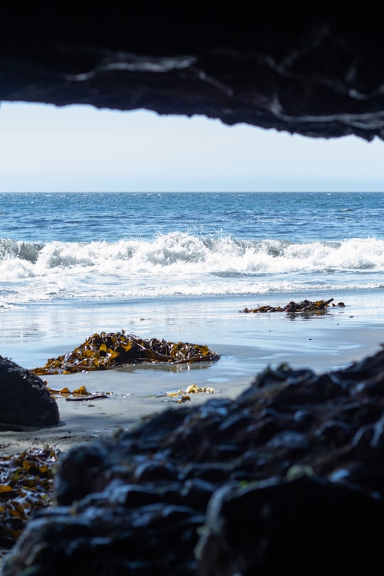 Mystic Beach things to do in Port Renfrew